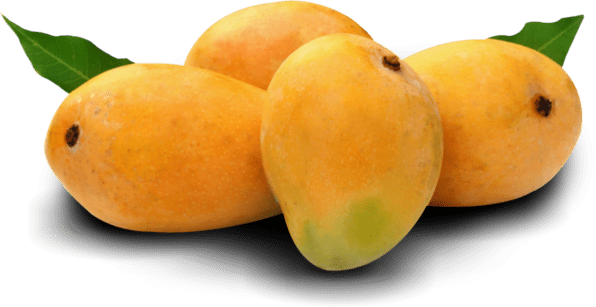 Image result for Alphonso mangoes are delicious
