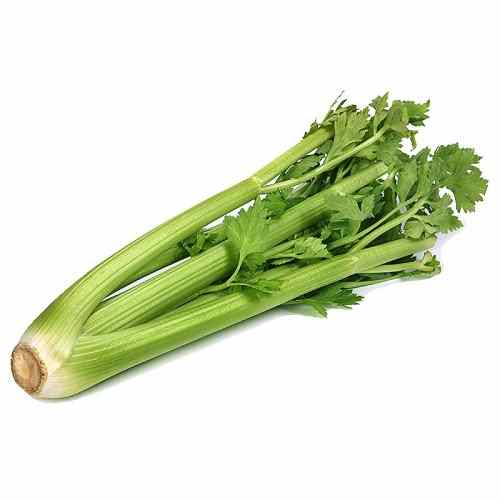 Organic Celery – 100 GM