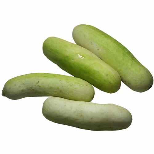 Organic Cucumber / Kheera Kakdi – 250 GM