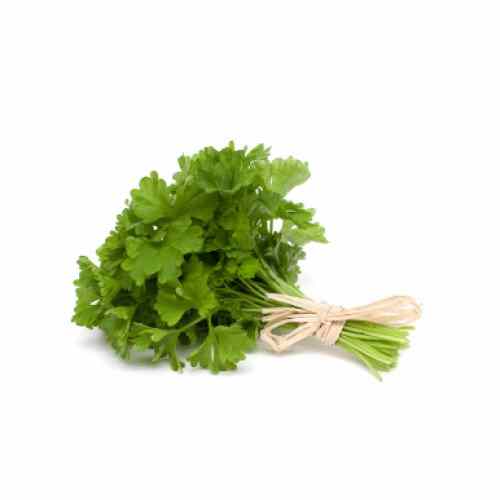 Organic Coriander Green Leaf / Dhania – in Bunch