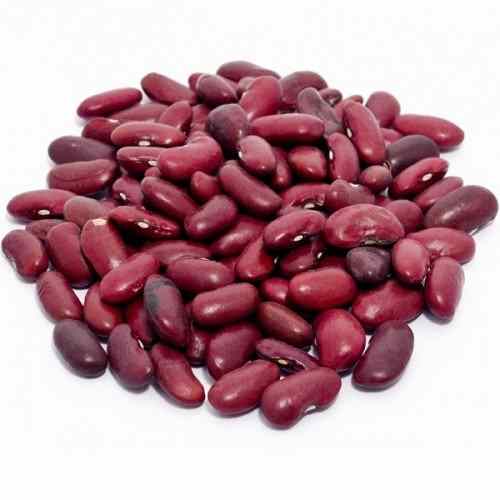 Organic Red Kidney Beans / Rajma(Big) – 500 GM