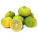 organic mosambi / sweet lime