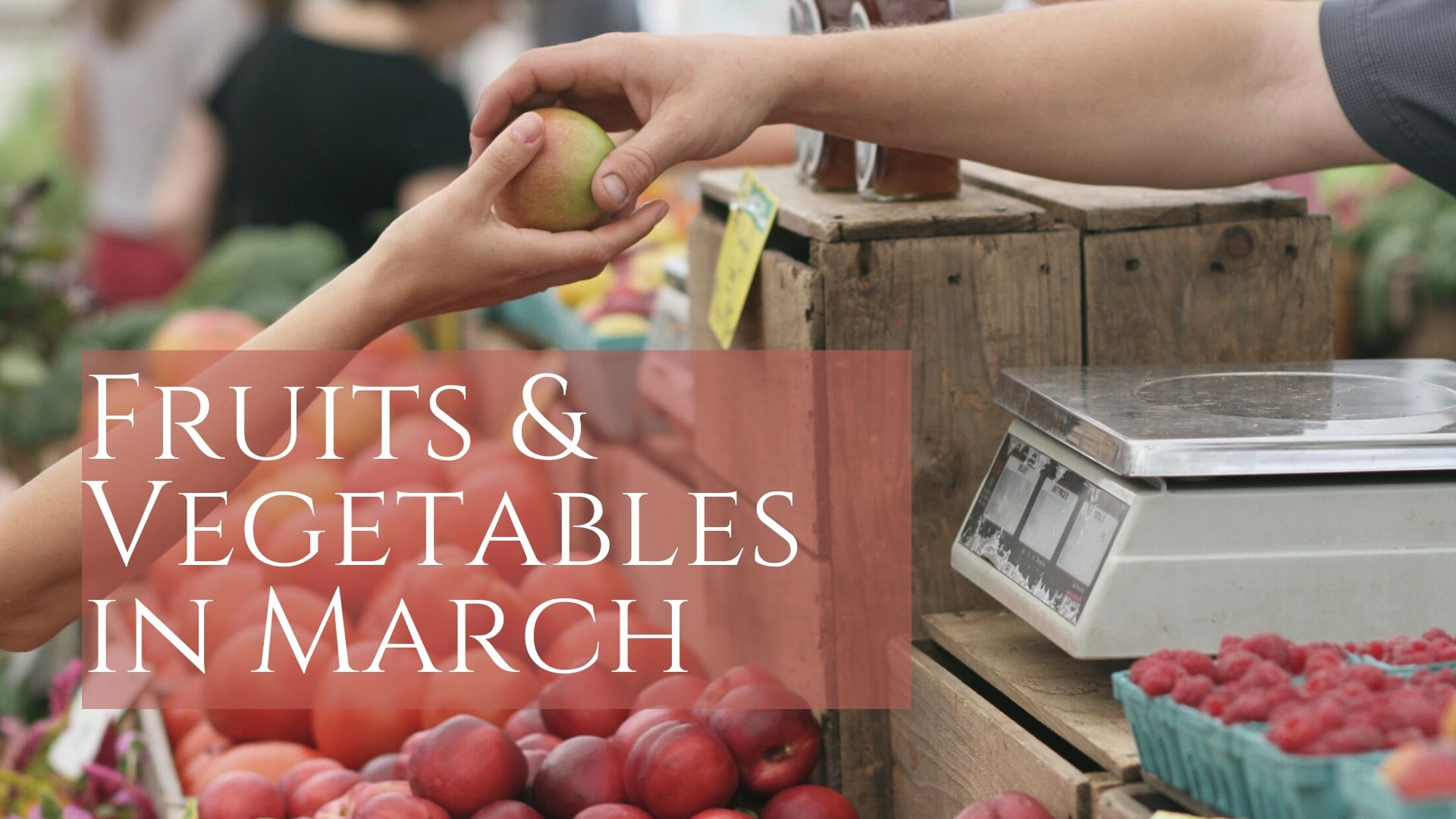 March Coming:: Bringing Organic Fruits and vegetables
