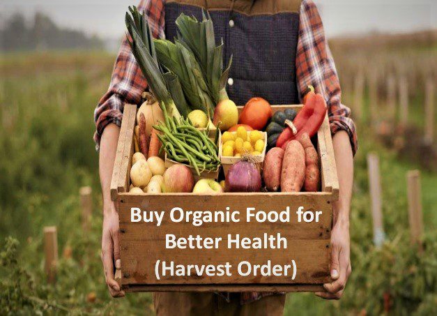 organic ahmedabad