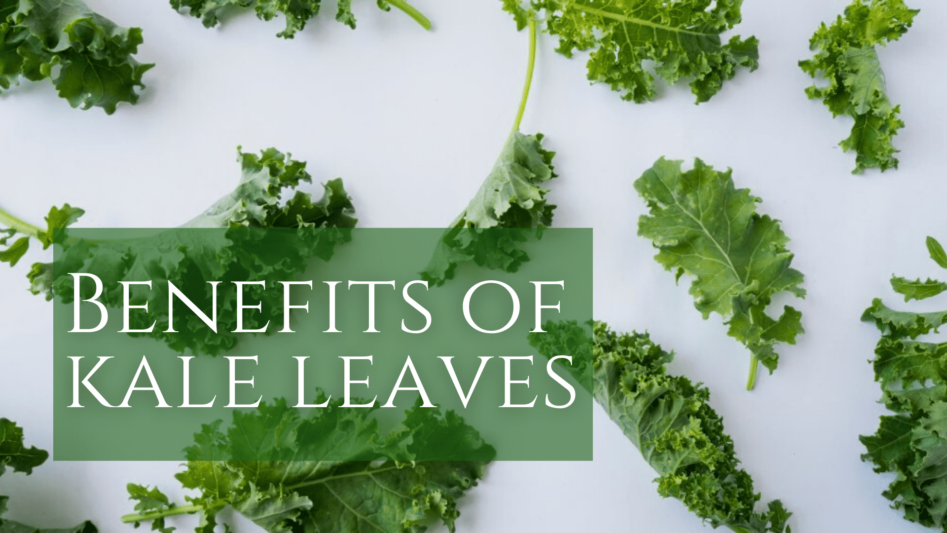Benefits of Organic Exotic Vegetable – Kale