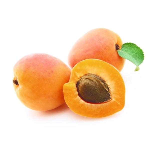 organic fresh apricot